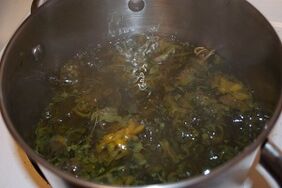 Behandlung von Krampfadern mit Abkochungen